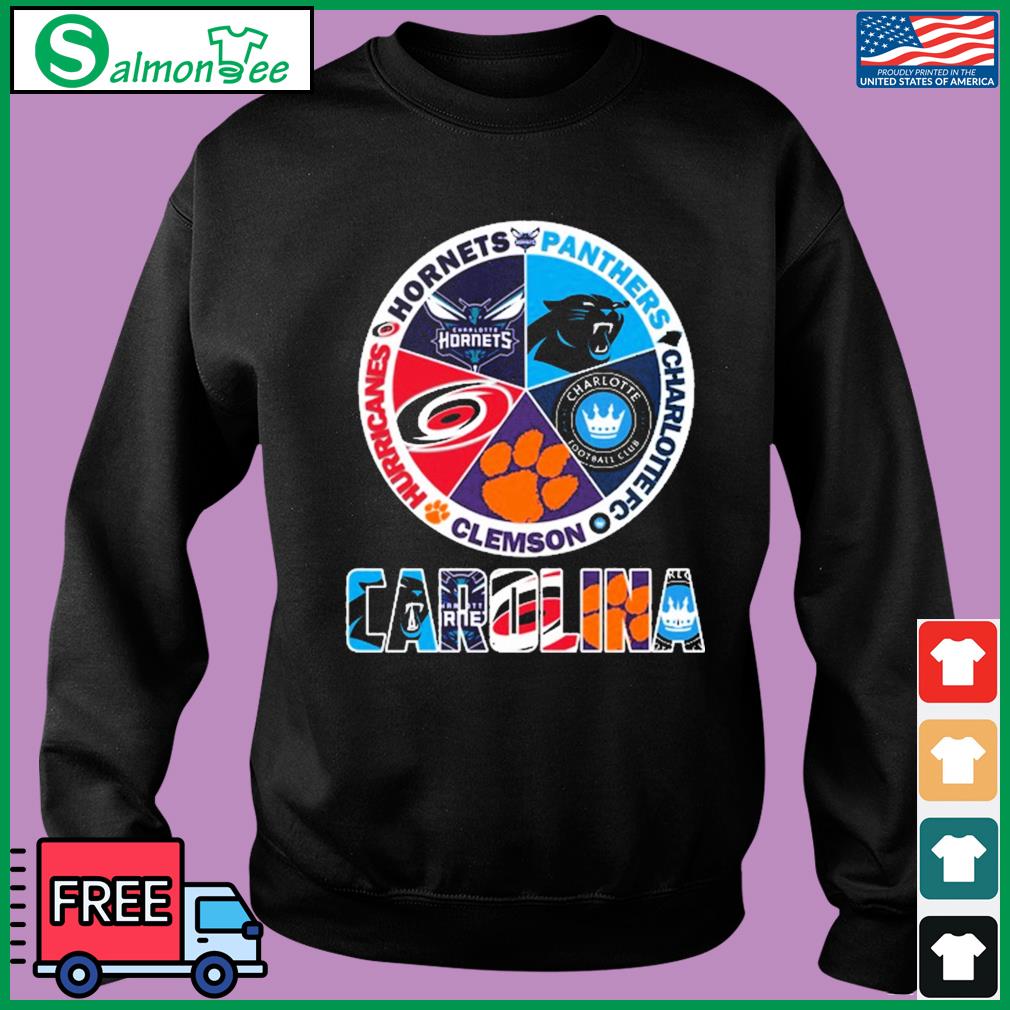 Carolina Panthers And Hurricanes Hornets Logo shirt, hoodie